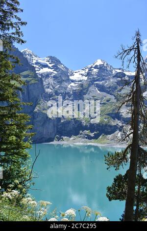Blick aus dem Wald auf den Oeschinensee in den Schweizer Alpen Stockfoto