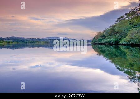 Sonnenuntergang Blick auf den Victoria Nil Fluss, mit Bäumen wachsen und die Reflexionen auf dem Wasser, Jinja, Uganda, Afrika Stockfoto