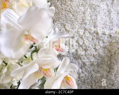 Nahaufnahme fokussierte Aufnahme von weißen Orchideen mit einer Wand gemacht Aus weißen Rosen im Hintergrund Stockfoto