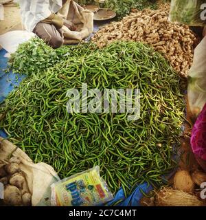 Selektive Schuss von frischen grünen Bohnen und Ginseng im Verkauf In einem Markt Stockfoto