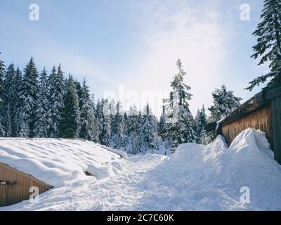 Die horizontale Aufnahme der hölzernen Schuppen auf dem in den Berg bedeckten Berg Schnee mit Kiefern wachsen im Hintergrund Stockfoto
