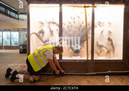 Ted Bartram von AP Pelosi sand den Parkettboden in der Natural History Gallery im Horniman Museum in London, während sie sich darauf vorbereiten, ihre Türen am 30. Juli nach der Lockerung der Sperrbeschränkungen in England wieder für die Öffentlichkeit zu öffnen. Stockfoto