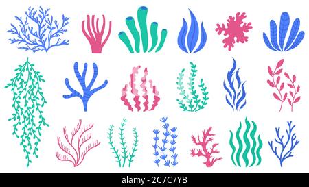 Korallen. Unterwasserpflanzen, handgezeichnete Meeresalgen, Polypen und Korallen, Meeresflora Vektor-Illustration Set Stock Vektor