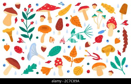 Einrichtung im Herbst mit botanischen Elementen. Herbst Doodle Wald Blätter, Blumen, Beeren und Pilze, Botanik Herbst Saison Sammlung Vektor Illustration Icons set Stock Vektor