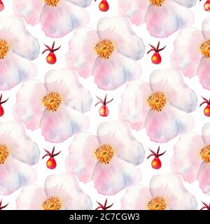 Nahtloses Muster. Blumen und Früchte der Hagebutten Aquarell. Blumenabbildungen. Böhmische Blumensträuße, Kränze, Hochzeitskompositionen Stockfoto