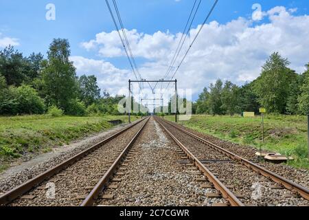 Zwei Bahngleise mit Stromkabeln in die Ferne mitten in einem grünen Wald, den Niederlanden Stockfoto
