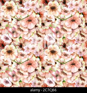 Nahtloses Muster. Kirschfarbe. Sakura Zweig mit rosa Blüten. Bild des Frühlings. Rahmen. Aquarelldarstellung. Designelement. Stockfoto