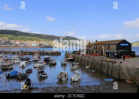 Hafen und Marine Aquarium, The Cobb, Lyme Regis, Dorset, England, Großbritannien, Großbritannien, Großbritannien, Europa Stockfoto