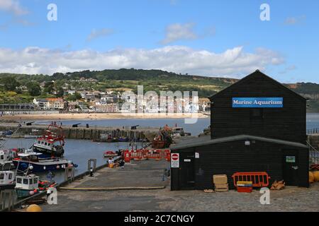 Hafen und Marine Aquarium, The Cobb, Lyme Regis, Dorset, England, Großbritannien, Großbritannien, Großbritannien, Europa Stockfoto