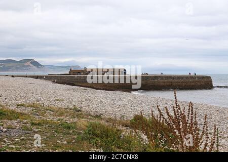 Die Cobb, mit Golden Cap Beyond, Monmouth Beach, Lyme Regis, Dorset, England, Großbritannien, Großbritannien, Großbritannien, Europa Stockfoto