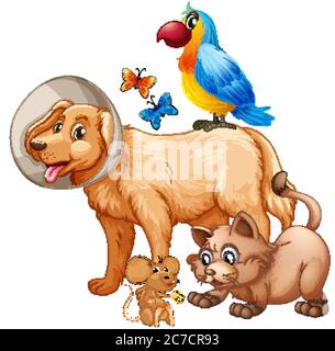 Gruppe von niedlichen Tieren Cartoon Charakter isoliert Illustration Stock Vektor