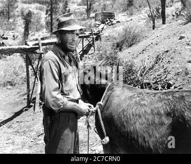 Humphrey Bogart im Schatz der Sierra Madre - Werbefilm Stockfoto