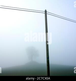 Nebel umhüllt die Landschaft mit einsamem Baum und Hochmast vor gedämpfter Kulisse, Frankreich Stockfoto
