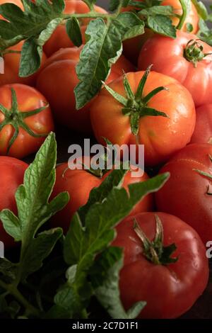 Raw Garten Tomaten, gesunden Zutaten für eine gesunde Ernährung Stockfoto