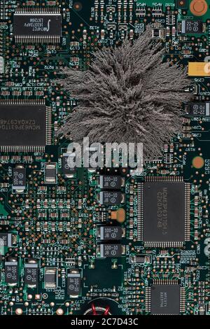 Magnetfelder, die durch Mac-Computer-PC-Boards passieren, wo Eisenspäne unsichtbare Feldlinien zeigen, die von einem einzigen Pol permanentem Neodym kommen Stockfoto