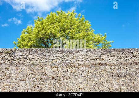 Canterbury Castle & Town Walls in der englischen mittelalterlichen Domstadt Canterbury in Kent, England, Großbritannien Stockfoto