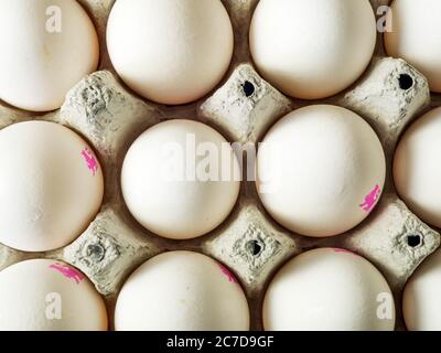 Ein Tablett mit weißen Eiern von oben Stockfoto