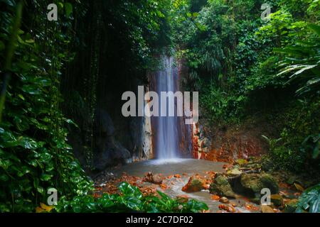 Diamond Botanischer Garten in St. Lucia Stockfoto