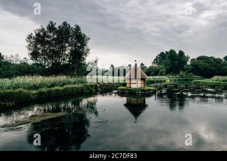 Aalfallen und eine kleine reetgedeckte Fischerhütte am Fluss Test, in der Nähe von Longstock Village, Hampshire (Hants), England, Großbritannien Stockfoto