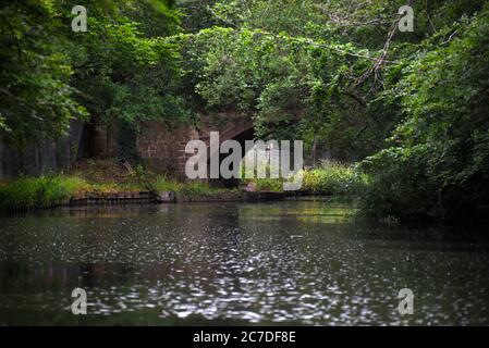 Eine Brücke über den schönen Basingstoke Canal an einem regnerischen Tag in Surrey Stockfoto