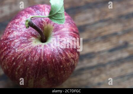 Ein frisch gepflücktes und sehr kleines Erbstück Apfel (Malus domestica) sitzt auf einem alten Eichentisch. Stockfoto