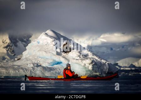 Kajakfahren und eine antarktische Pelzrobbe, Arctocephalus gazella in Wilhelmina Bay Landschaft bei Sonnenreiz in der Antarktis, Polarregionen Siebter Kontinent. Stockfoto