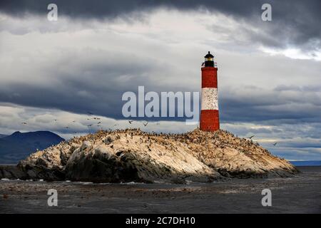 Leuchtturm Éclaireurs im Beagle Kanal, Ushuaia, Feuerland, Patagonien, Argentinien, Südamerika Stockfoto