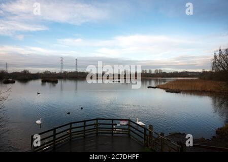 Hooksmarsh See im Lee Valley Country Park an der Grenze zwischen Essex und Hertfordshire in England, Großbritannien Stockfoto