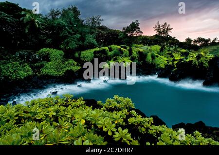 Wai'anapanapa State Park. Eine grüne Lage mit Meereshöhlen und vulkanischen Klippen. Hana Highway. Maui. Hawaii. Dies ist ein toller Zwischenstopp auf der Straße nach Hana. B Stockfoto