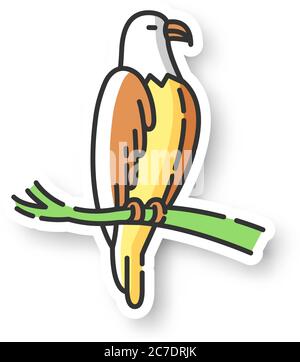 Eagle-Patch. Gefährliche Greifvogel, fliegendes Tier, geflügeltes Raubtier. American National RGB Farbaufkleber. Falke, Falke auf Baumschwalbe sitzend Stock Vektor