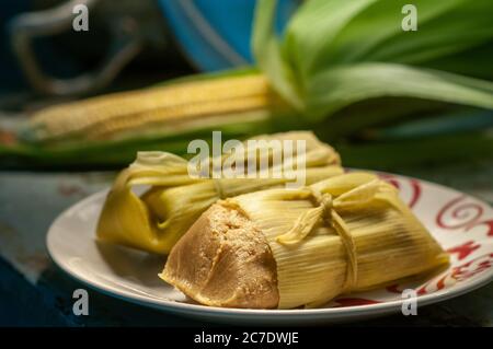 Gekochter Mais. Typische Speisen aus den Juni-Festlichkeiten im Nordosten Brasiliens Stockfoto