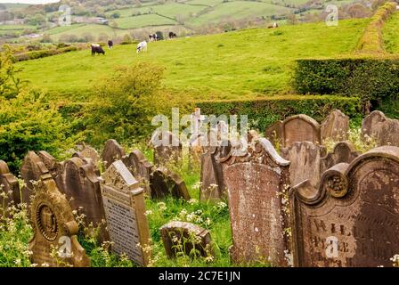 Friedhof, Robin Hood's Bay, England Stockfoto