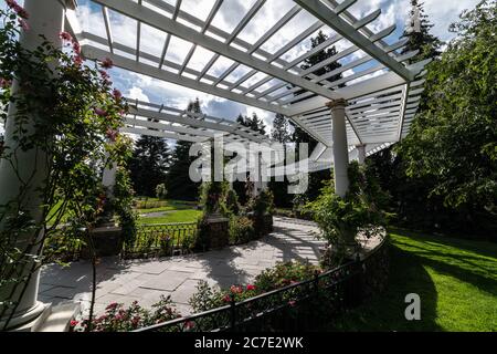 Öffentlicher Rosengarten, Spokane, WA Stockfoto
