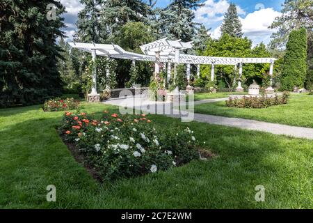 Öffentlicher Rosengarten, Spokane, WA Stockfoto
