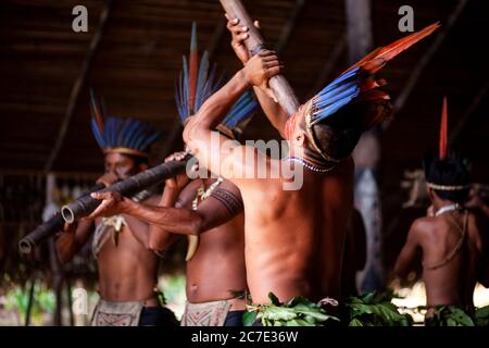 Indigene Männer blasen auf einem traditionellen Instrument Stockfoto