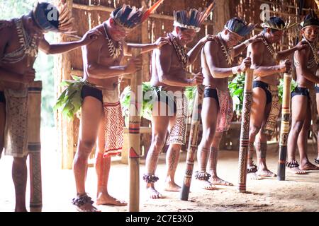 Indigene Amazonas-Männer führen eine traditionelle Stammeszeremonie mit zeremoniellen Stäben durch, tragen gefiederte Kopfbedeckungen und Körperfarbe, um ihre zu feiern Stockfoto