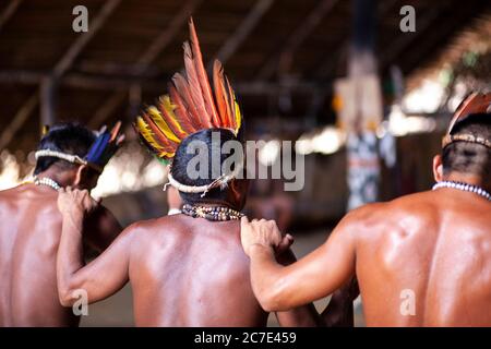 Indigene Amazonas-Männer führen eine traditionelle Stammeszeremonie mit zeremoniellen Stäben durch, tragen gefiederte Kopfbedeckungen und Körperfarbe, um ihre zu feiern Stockfoto