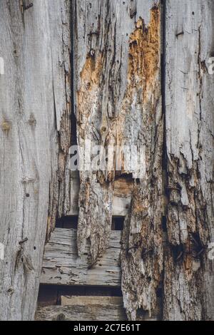 Vertikale Nahaufnahme der Holzstruktur an einer alten abgenutzten Holzwand. Ideal für einen Hintergrund Stockfoto