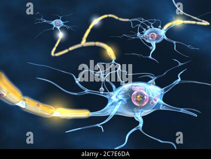 Aktive Nervenzellen verbreiten ein Signal auf einem Axon zur nächsten Zelle. Stockfoto