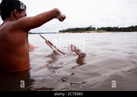 Ein Amazonasdelfin (rosafarbener Delfin) interagiert mit einem Schwimmer im Amazonasfluss und hebt seltene Tierarten und Ökotourismus im Regenwald hervor. Stockfoto