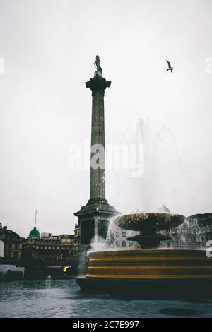 Trafalgar Square in London, Großbritannien und ein wunderschöner Vogel, der unter dem klaren Himmel fliegt Stockfoto