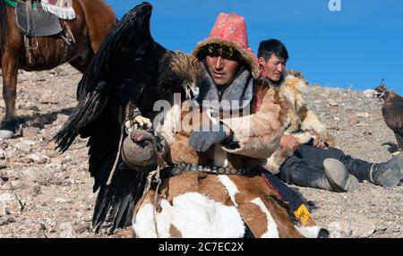 Ein kasachische Nomade belohnt seinen Steinadler nach einer erfolgreichen Jagd im Altai-Gebirge der westlichen Mongolei. Stockfoto