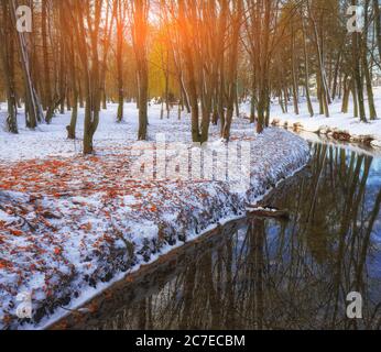 Landschaftlich schöner Blick auf den Fluss und die Bäume mit dem ersten Schnee. Gefallene Blätter auf dem Schnee Stockfoto
