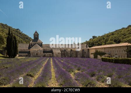 Landschaftsaufnahme der Abtei von Senanque in der Provence, Frankreich mit einem Feld von Lavendel davor Stockfoto