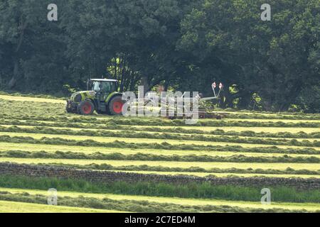 Silage-Tedding auf einer Yorkshire Farm in England. Stockfoto