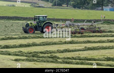 Silage-Tedding auf einer Yorkshire Farm in England. Stockfoto