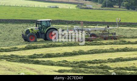 Silage-Tedding auf einer Yorkshire Farm in England. Stockfoto