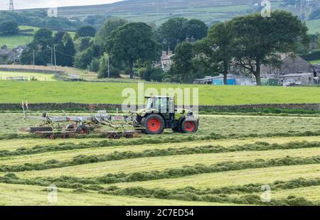 Silage-Tedding auf einer Yorkshire Farm in England. Stockfoto