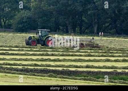 Silage-Tedding auf einer Yorkshire Farm in England. Stockfoto