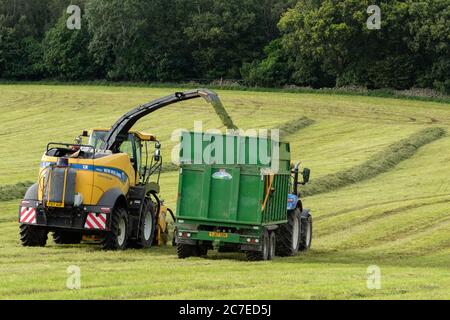 Landwirtschaftliche Fahrzeuge sammeln Silage auf einem Yorkshire-Bauernhof in England, Großbritannien Stockfoto